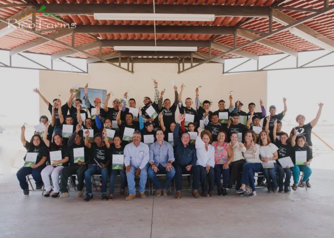 organic-sustainable-farming-rico-farms