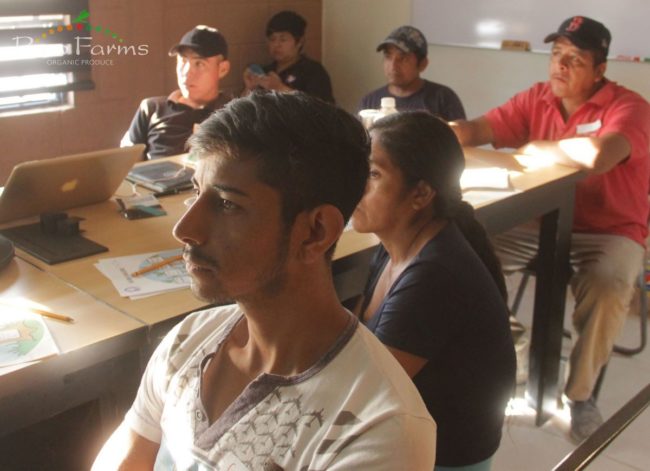 organic-sustainable-farming-rico-farms