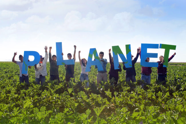 organic-sustainable-farming-rico-farms