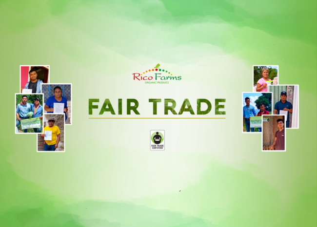 organic-sustainable-farming-rico-farms