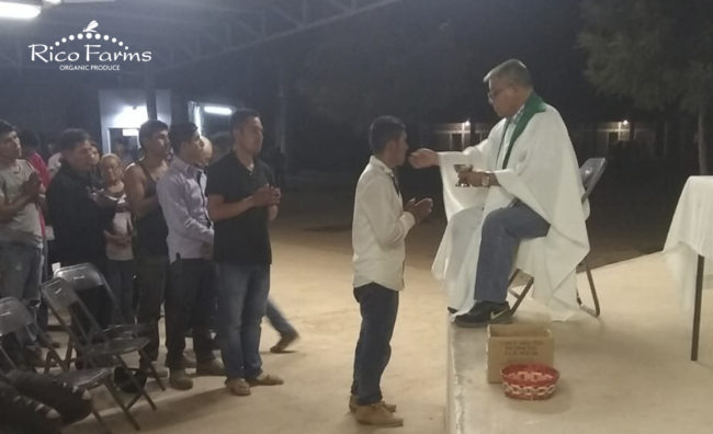 Rico Farms | Organic and Sustainable Farming – Misa organic-sustainable-farming-rico-farms