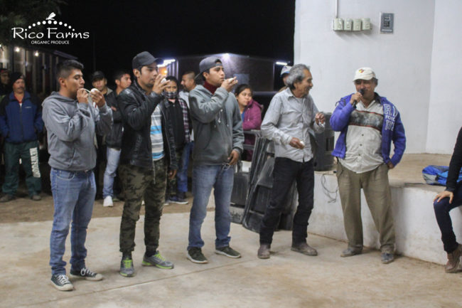 organic-sustainable-farming-rico-farms