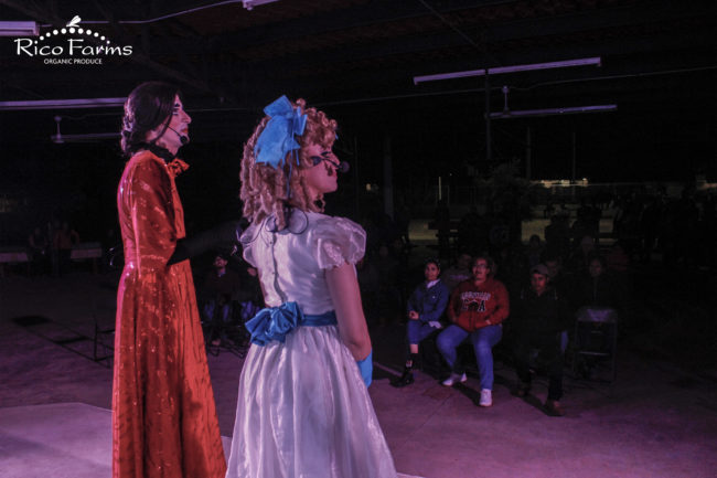 Rico Farms | Organic and Sustainable Farming – RicoFarmsCover organic-sustainable-farming-rico-farms