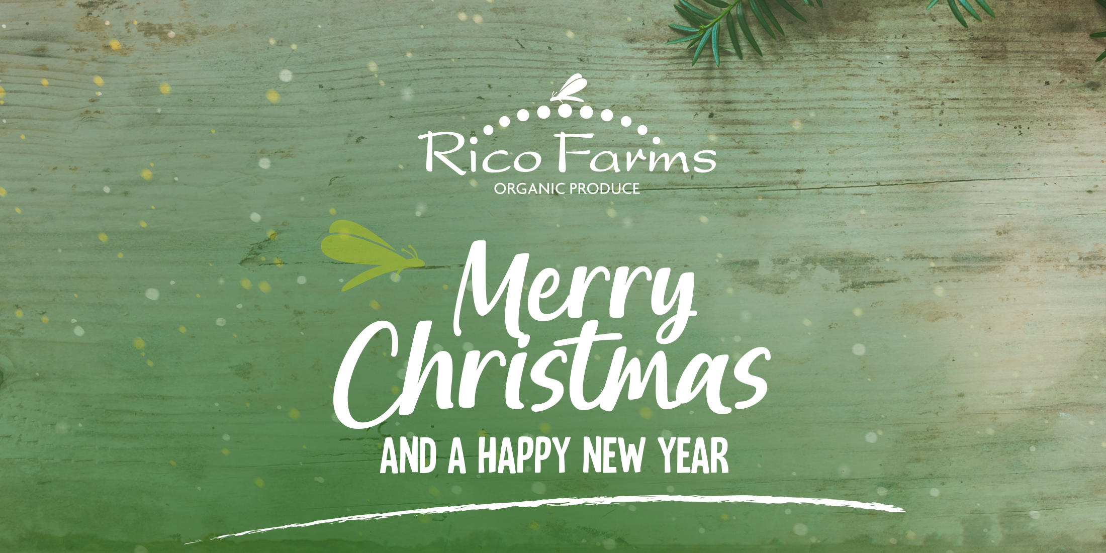 organic-sustainable-farming-rico-farms