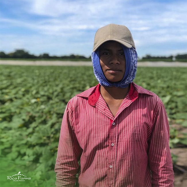 Covid19 organic-sustainable-farming-rico-farms