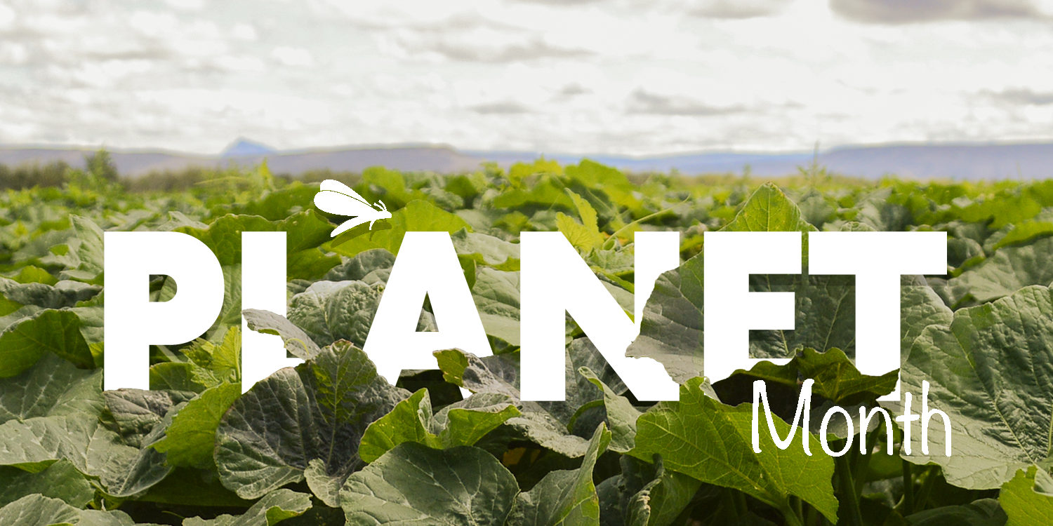 planetWEb organic-sustainable-farming-rico-farms