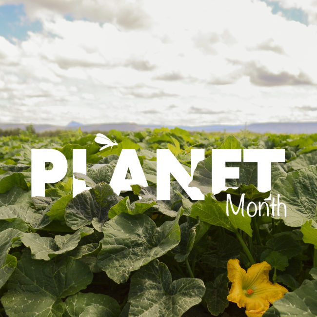 organic-sustainable-farming-rico-farms