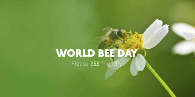 organic-sustainable-farming-rico-farms