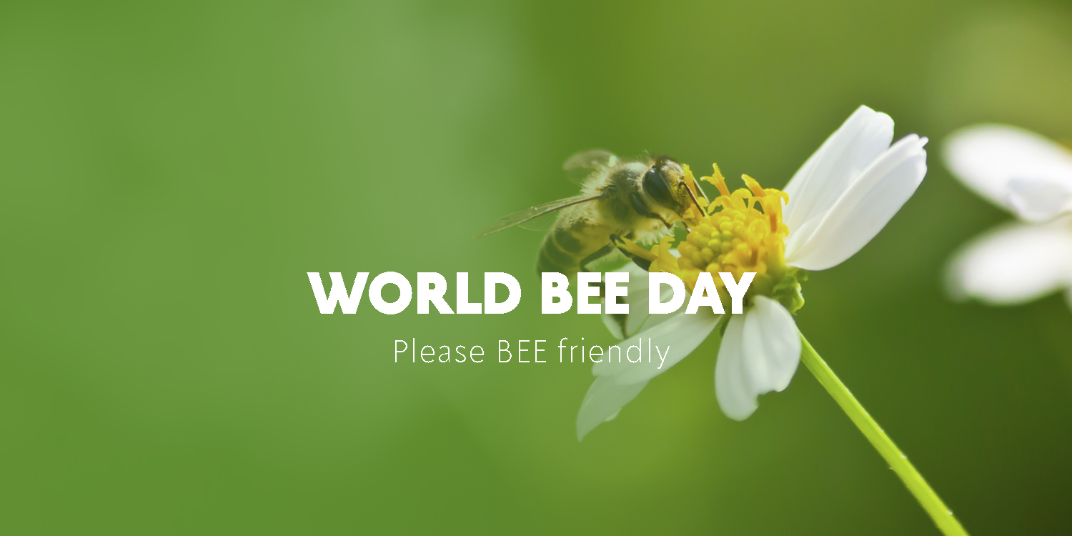 WEBEE organic-sustainable-farming-rico-farms