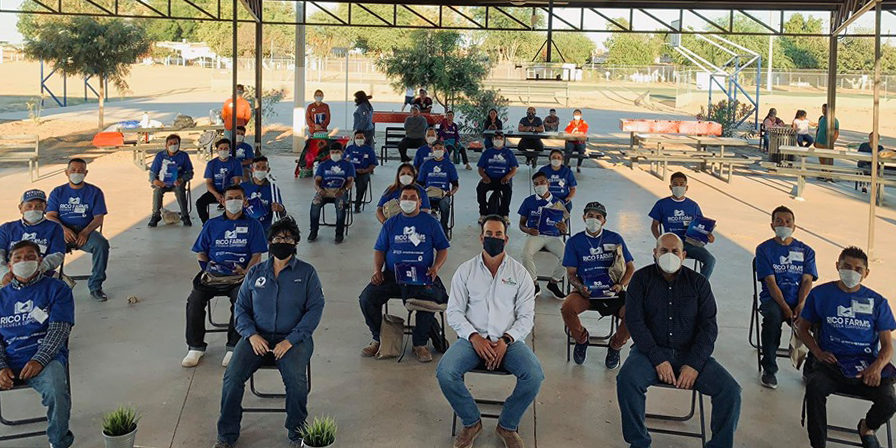 organic-sustainable-farming-rico-farms