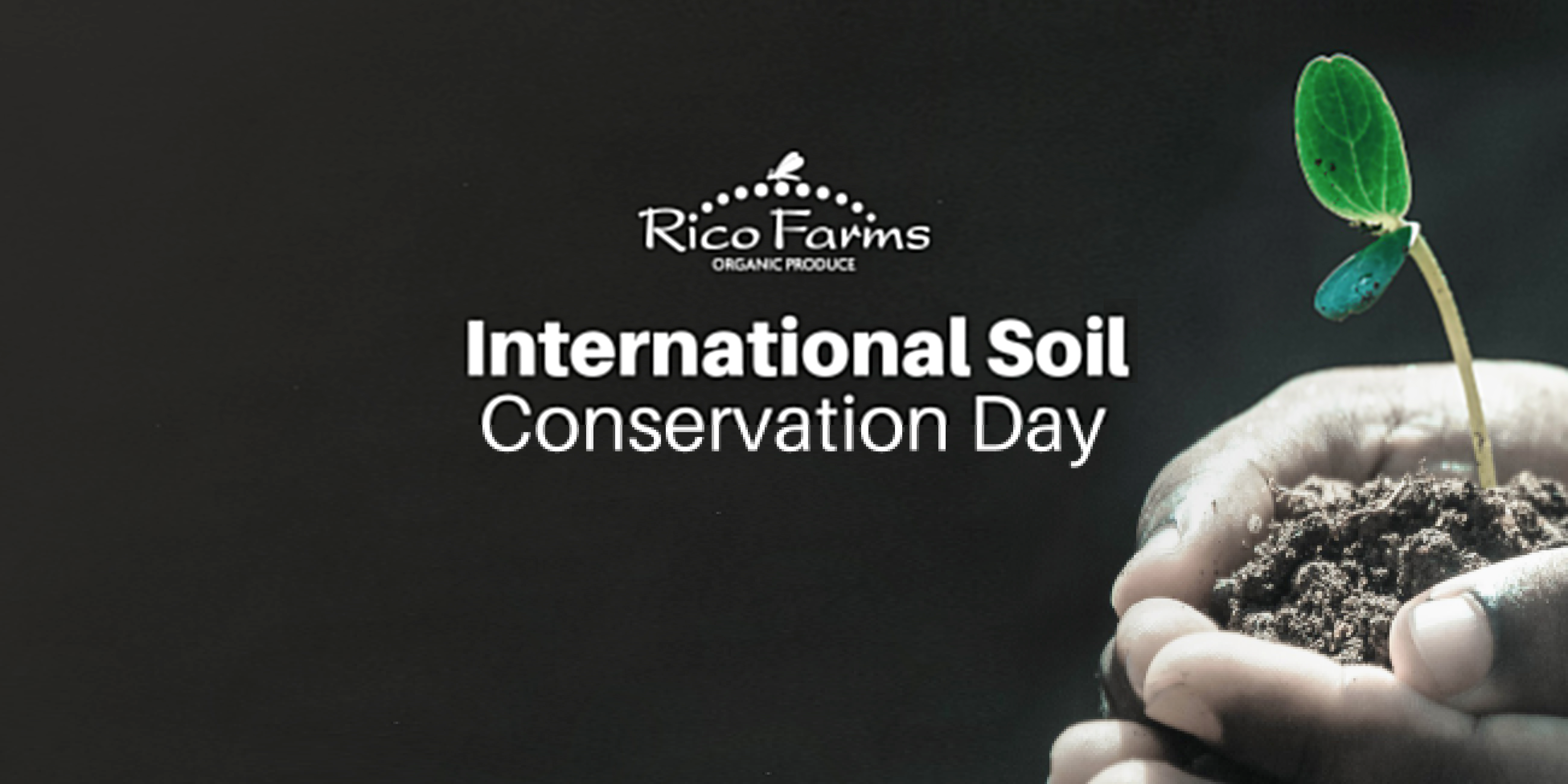 Rico Farms | Organic and Sustainable Farming – soil-day organic-sustainable-farming-rico-farms