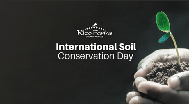 organic-sustainable-farming-rico-farms