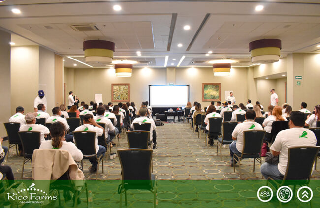 FotoEventoVision2025-1