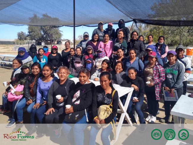 Foto1-RicoFarms-campo-san-francisco